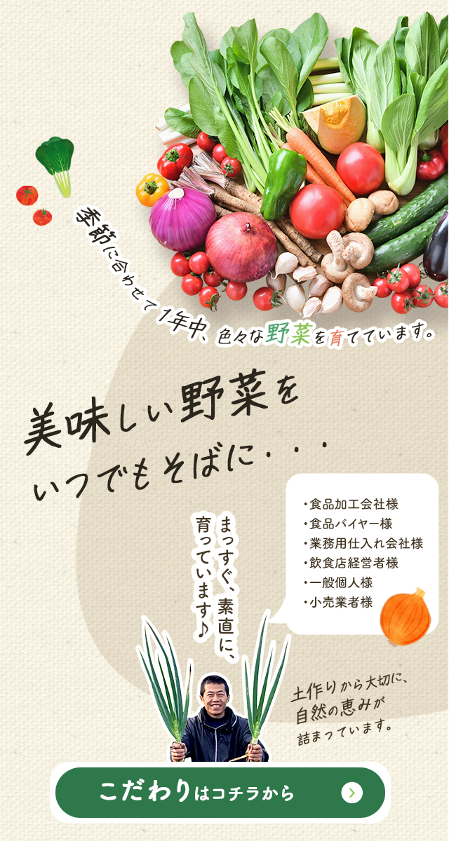 新鮮野菜の栽培・販売なら広島市安佐北区の博卓農園